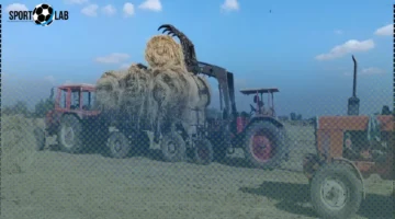 الزراعة تحقق حصاد 2.6 مليون طن قش أرز وتنتج 4800 طن أسمدة عضوية